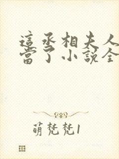 这丞相夫人我不当了小说全文免费阅读