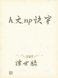 h文np快穿封面