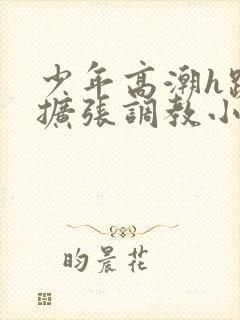 少年高潮h跪趴扩张调教小说