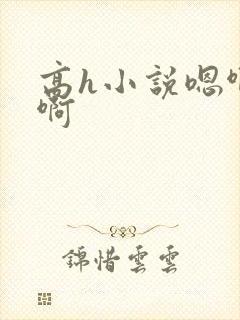 高h小说嗯啊哈啊