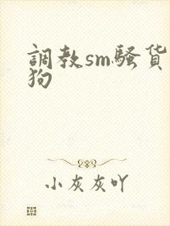 调教sm骚货母狗