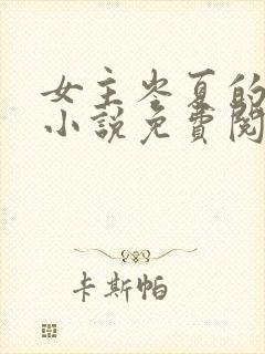 女主岑夏的现代小说免费阅读