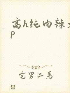 高h纯肉辣文np