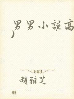 男男小说高(h)封面