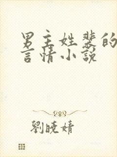 男主姓裴的现代言情小说