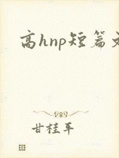 高hnp短篇文