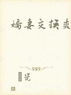 娇妻交换爽文