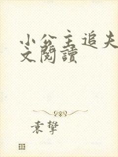 小公主追夫记全文阅读