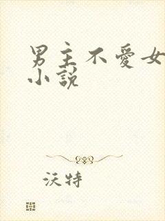 男主不爱女主的小说