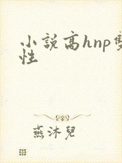 小说高hnp双性
