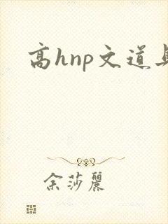 高hnp文道具封面
