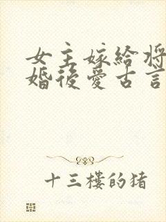 女主嫁给将军先婚后爱古言封面