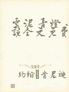 云泥 青灯 小说全文免费阅读