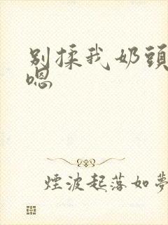 别揉我奶头啊 嗯