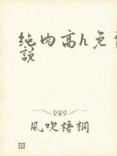 纯肉高h免费小说