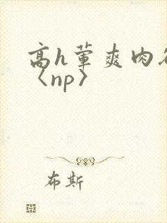 高h荤爽肉欲文〈np〉