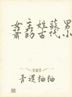 女主姓苏男主姓萧的古代小说