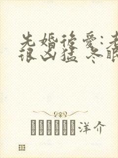 先婚后爱:老公很凶猛 冬眠