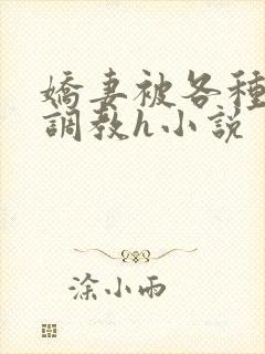 娇妻被各种刑具调教h小说封面