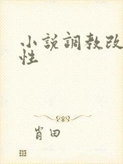 小说调教改造双性