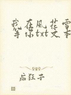 我在风花雪月里等你txt文本封面