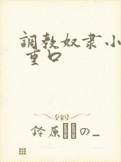 调教奴隶小说虐 重口封面