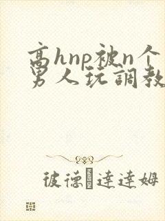 高hnp被n个男人玩调教