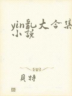yin乱大合集小说
