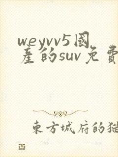 weyvv5国产的suv免费