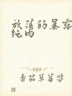 放荡的暴露高h纯肉