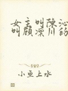 女主叫陈沁男主叫顾凛川的小说