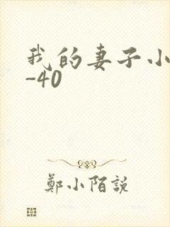 我的妻子小谨1-40