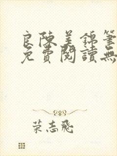 良陈美锦笔趣阁免费阅读无弹窗