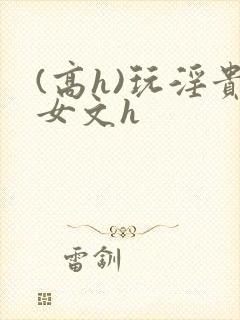 (高h)玩淫贵女文h