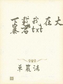 下载我在大明当暴君txt