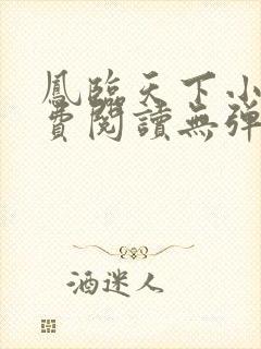 凤临天下小说免费阅读无弹窗