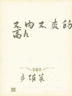 又肉又爽的小说高h