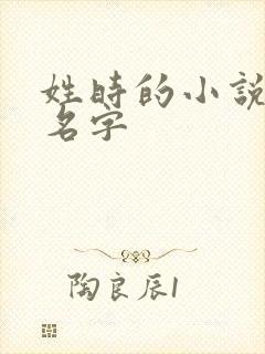 姓时的小说女主名字封面