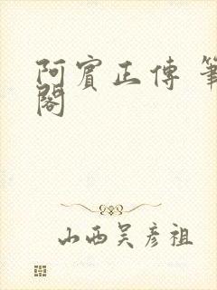 阿宾正传 笔趣阁