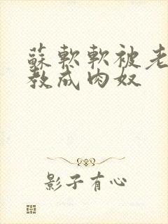 苏软软被老汉调教成肉奴封面