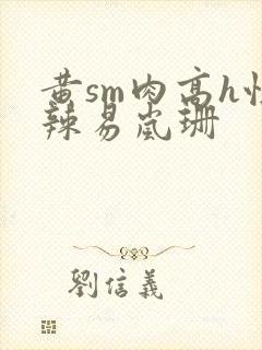 黄sm肉高h性辣易岚珊