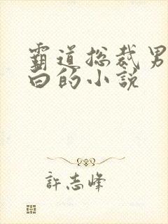 霸道总裁男主姓白的小说封面