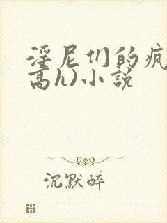 淫尼们的疯狂(高h)小说封面