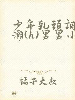 少年乳头调教高潮(h)男男小说封面