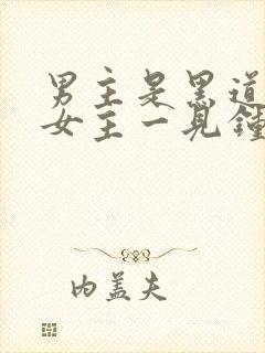 男主是黑道,对女主一见钟情