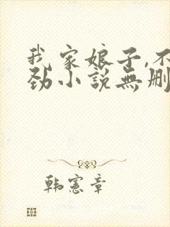 我家娘子,不对劲小说无删减版