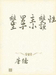 双男主双性美人生子小说