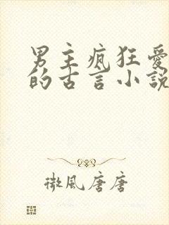 男主疯狂爱女主的古言小说