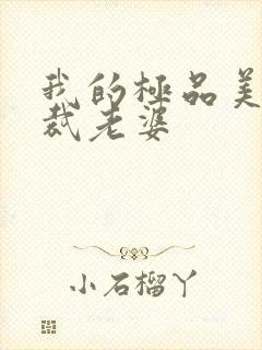 我的极品美女总裁老婆封面