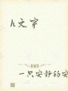 h文穿